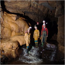 Thumbnail of photo from this article